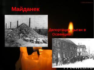 Майданек Депортация цыган в Освенцим
