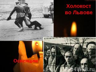 Освенцим Холокост во Львове