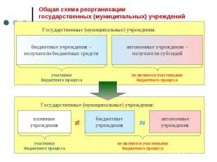 Общая схема реорганизациигосударственных (муниципальных) учреждений