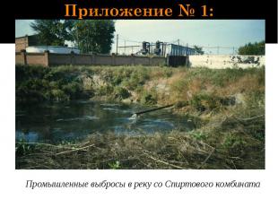 Приложение № 1: Промышленные выбросы в реку со Спиртового комбината