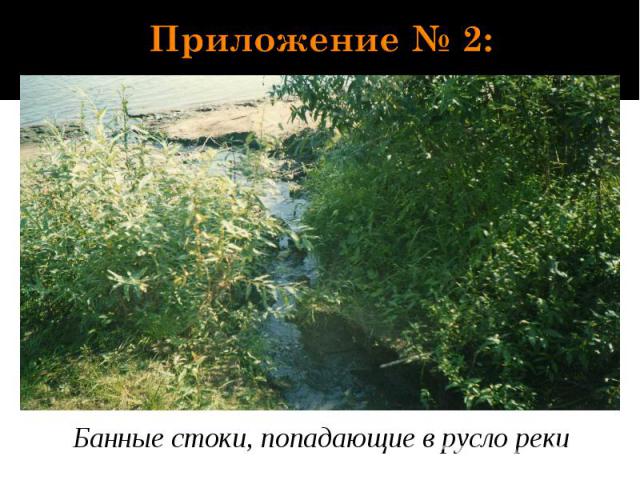 Приложение № 2: Банные стоки, попадающие в русло реки