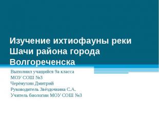 Изучение ихтиофауны реки Шачи района города Волгореченска Выполнил учащийся 9а к