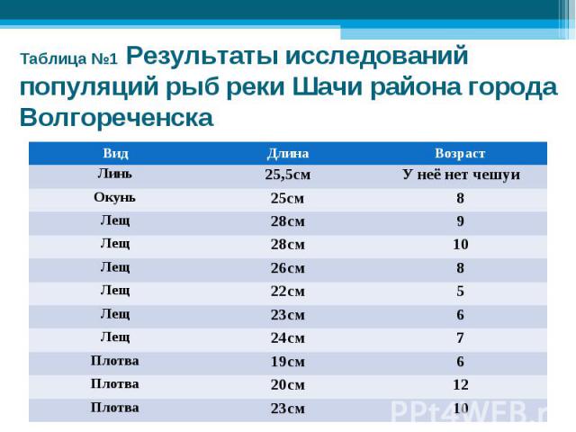 Таблица №1 Результаты исследований популяций рыб реки Шачи района города Волгореченска