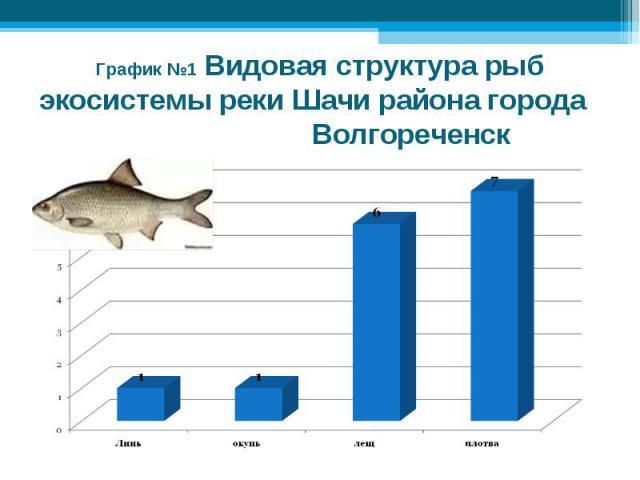 График №1 Видовая структура рыб экосистемы реки Шачи района города Волгореченск