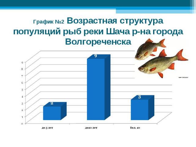 График №2 Возрастная структура популяций рыб реки Шача р-на города Волгореченска