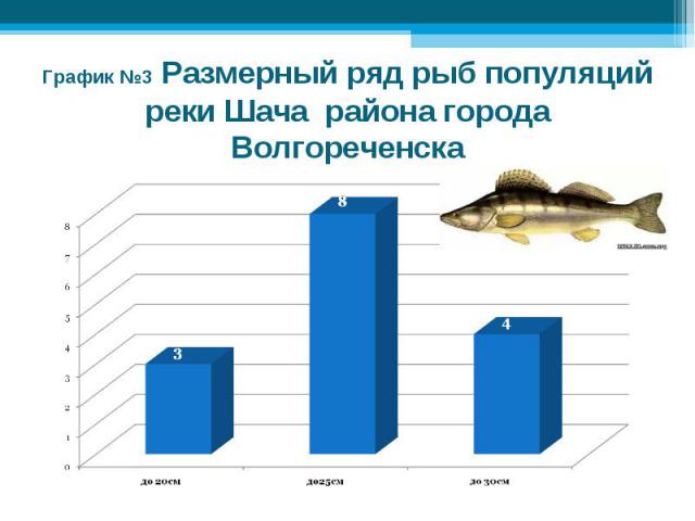 График №3 Размерный ряд рыб популяций реки Шача района города Волгореченска