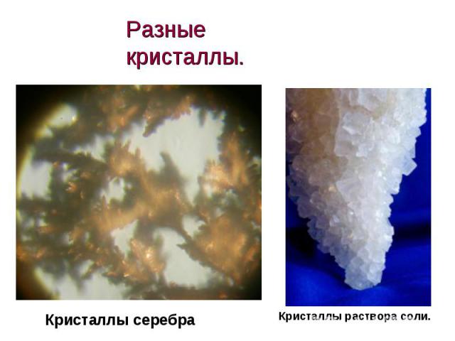 Разные кристаллы. Кристаллы серебраКристаллы раствора соли.