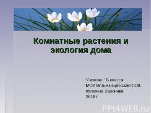 Комнатные растения и экология дома Ученица 1Б класса МОУ Вязьма-Брянская СОШ Кул