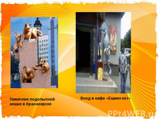 Памятник подопытной кошке в КрасноярскеВход в кафе «Ешкин кот»