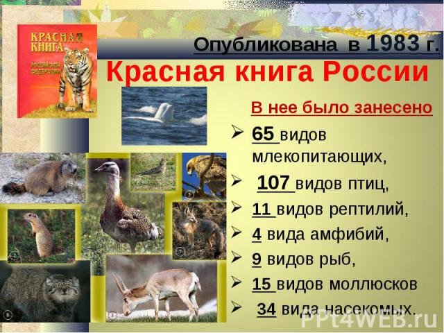 Опубликована в 1983 г. Красная книга России В нее было занесено  65 видов млекопитающих, 107 видов птиц,  11 видов рептилий, 4 вида амфибий,  9 видов рыб, 15 видов моллюсков 34 вида насекомых.