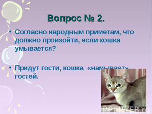 Вопрос № 2. Согласно народным приметам, что должно произойти, если кошка умывает