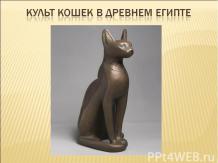Культ кошек в древнем Египте