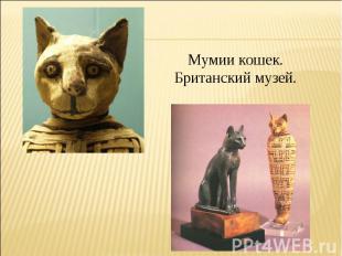 Мумии кошек.Британский музей.