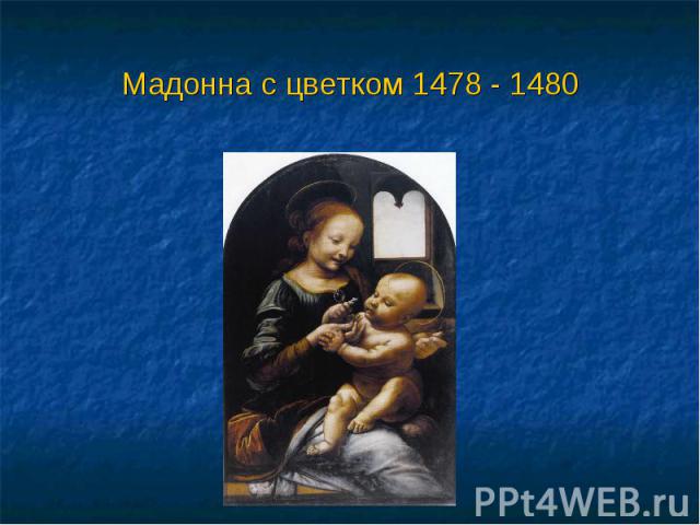 Мадонна с цветком 1478 - 1480