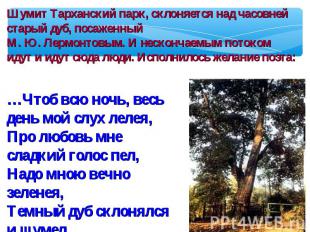 Шумит Тарханский парк, склоняется над часовней старый дуб, посаженный М. Ю. Лерм