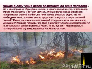 Пожар в лесу чаще всего возникает по вине человека – это и неосторожное обращени