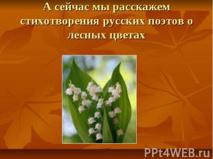 А сейчас мы расскажем стихотворения русских поэтов о лесных цветах