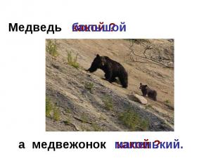 Медведь большойа медвежонок маленький.