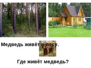 Медведь живёт в лесу.Где живёт медведь?