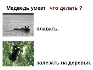 Медведь умеет что делать ?плавать.залезать на деревья.