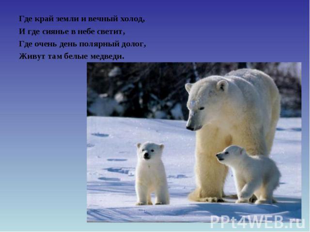 Где край земли и вечный холод,И где сиянье в небе светит,Где очень день полярный долог,Живут там белые медведи.