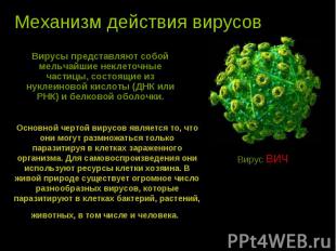 Механизм действия вирусов Вирусы представляют собой мельчайшие неклеточные части