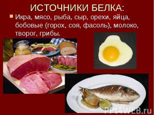 ИСТОЧНИКИ БЕЛКА: Икра, мясо, рыба, сыр, орехи, яйца, бобовые (горох, соя, фасоль