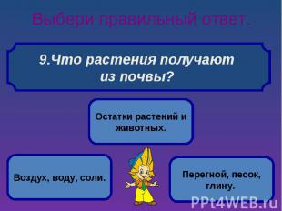 Выбери правильный ответ. Что растения получают из почвы?