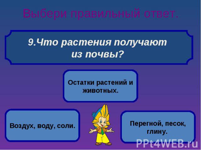 Выбери правильный ответ. Что растения получают из почвы?