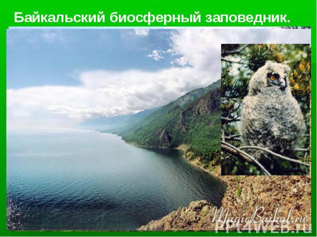 Байкальский биосферный заповедник.