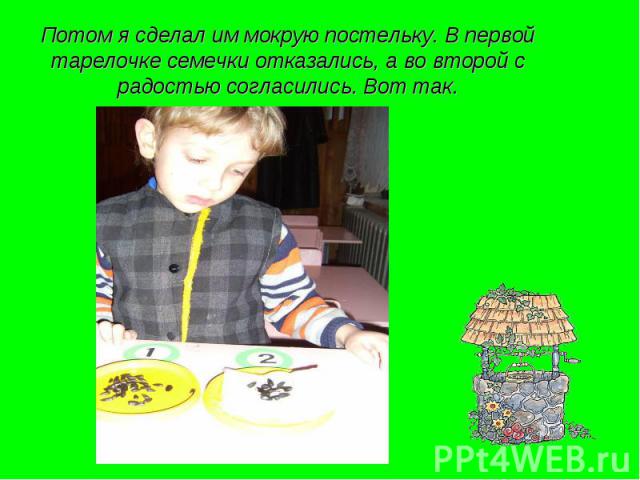 Потом я сделал им мокрую постельку. В первой тарелочке семечки отказались, а во второй с радостью согласились. Вот так.