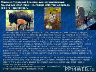 Приокско-Террасный биосферный государственный природный заповедник - настоящая ж