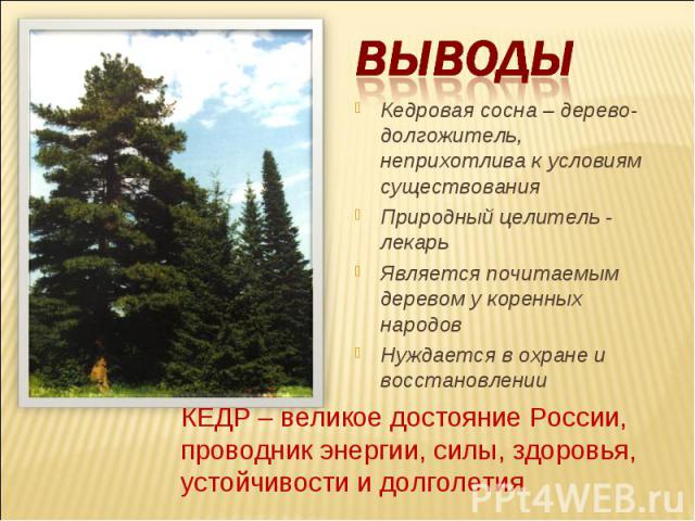 Выводы Кедровая сосна – дерево-долгожитель, неприхотлива к условиям существованияПриродный целитель - лекарьЯвляется почитаемым деревом у коренных народовНуждается в охране и восстановленииКЕДР – великое достояние России, проводник энергии, силы, зд…