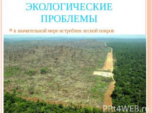 Экологические проблемы в значительной мере истреблен лесной покров