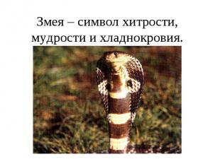 Змея – символ хитрости, мудрости и хладнокровия.