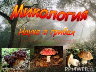 МикологияНаука о грибах