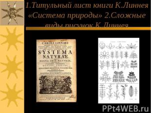 1.Титульный лист книги К.Линнея «Система природы» 2.Сложные виды рисунок К.Линне