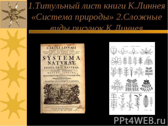 1.Титульный лист книги К.Линнея «Система природы» 2.Сложные виды рисунок К.Линнея