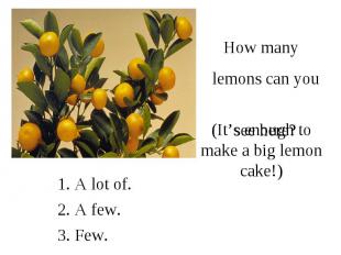 How many lemons can you see here?(It’s enough to make a big lemon cake!)
