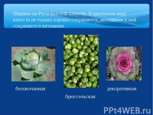 Издавна на Руси квасили капусту. В квашеном виде капуста не только хорошо сохран