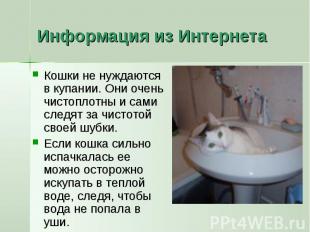 Информация из Интернета Кошки не нуждаются в купании. Они очень чистоплотны и са