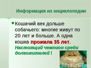 Информация из энциклопедии Кошачий век дольше собачьего: многие живут по 20 лет