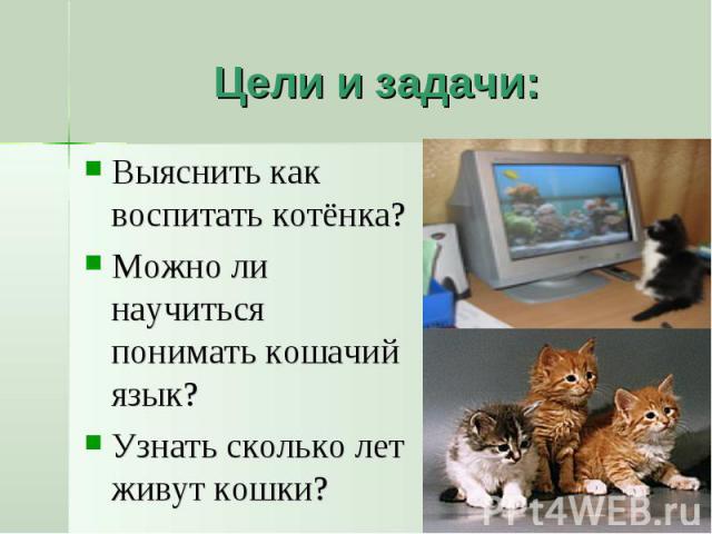 Цели и задачи: Выяснить как воспитать котёнка?Можно ли научиться понимать кошачий язык?Узнать сколько лет живут кошки?