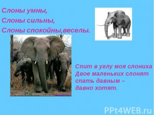 Слоны умны,Слоны сильны,Слоны спокойны,веселы.Спит в углу моя слонихаДвое малень