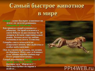 Самый быстрое животное в мире Гепард - самое быстрое животное на Земле, он может