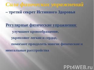 Сила физических упражнений – третий секрет Истинного ЗдоровьяРегулярные физическ