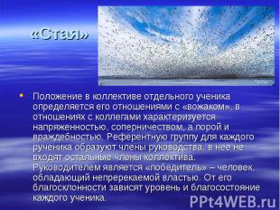 «Стая» Положение в коллективе отдельного ученика определяется его отношениями с