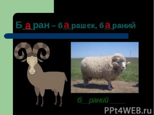 Б__ран – б__рашек, б__раний б__раний ____