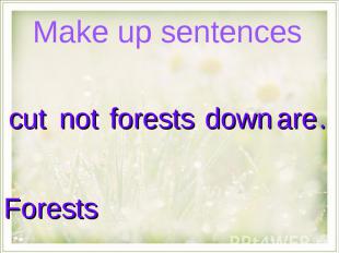Make up sentences Forests