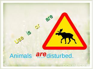 Use is or are Animals …. disturbed.